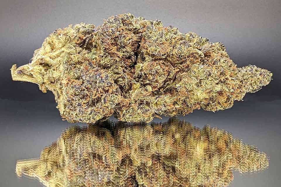 fleur thcp pineapple blue