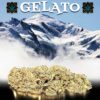 gelato 10 oh hhc